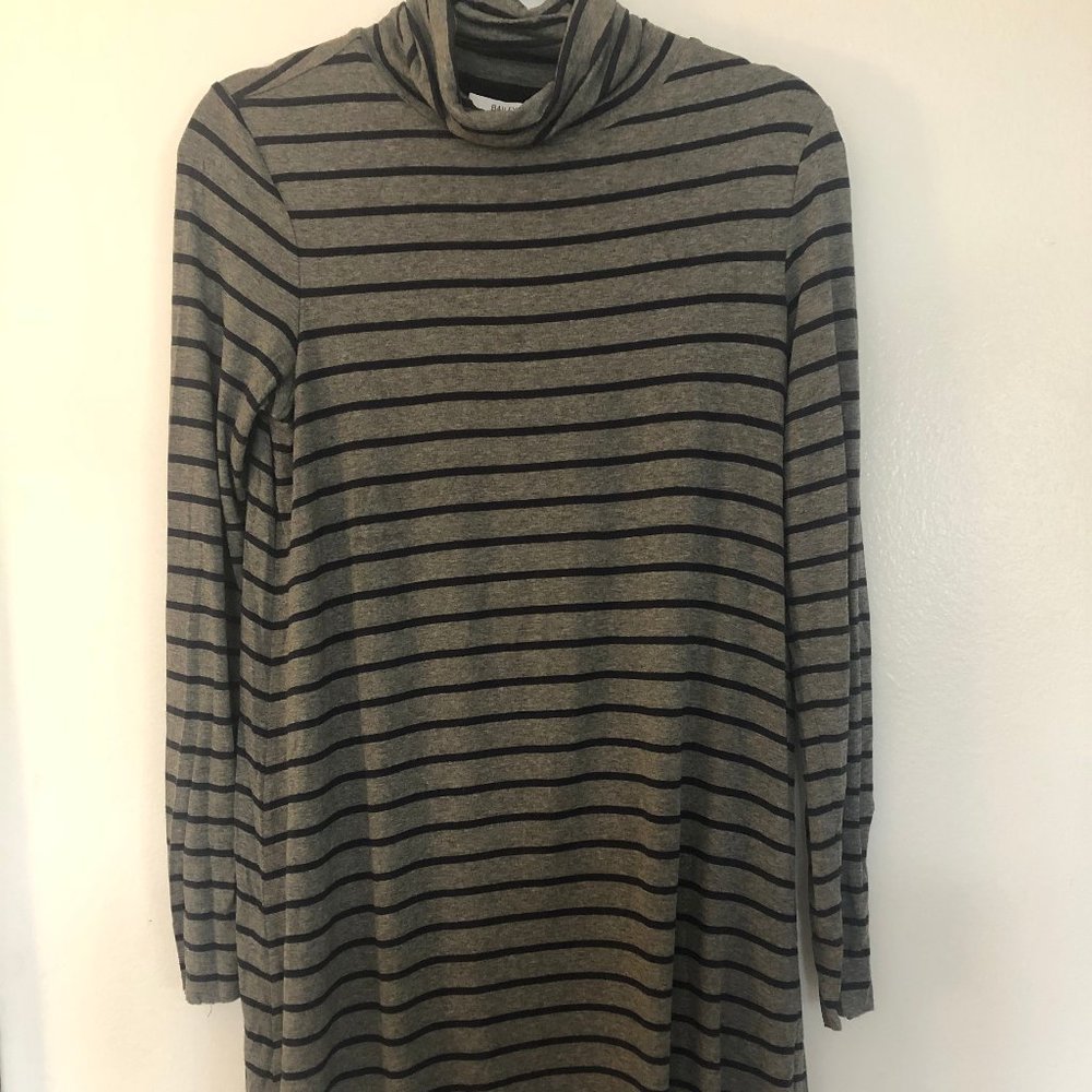 Striped Turtle Neck Dress